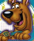 Puzzle mánia